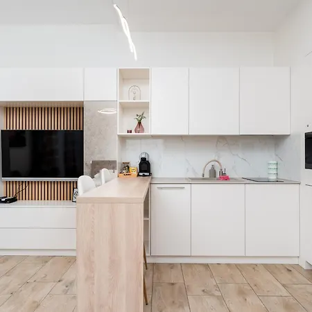 Noble Luxury 公寓 克拉科夫